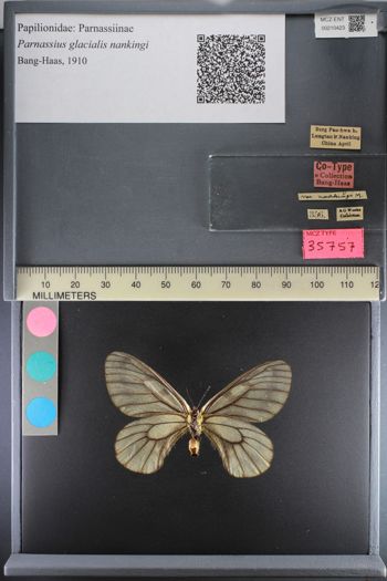 Media type: image;   Entomology 210423